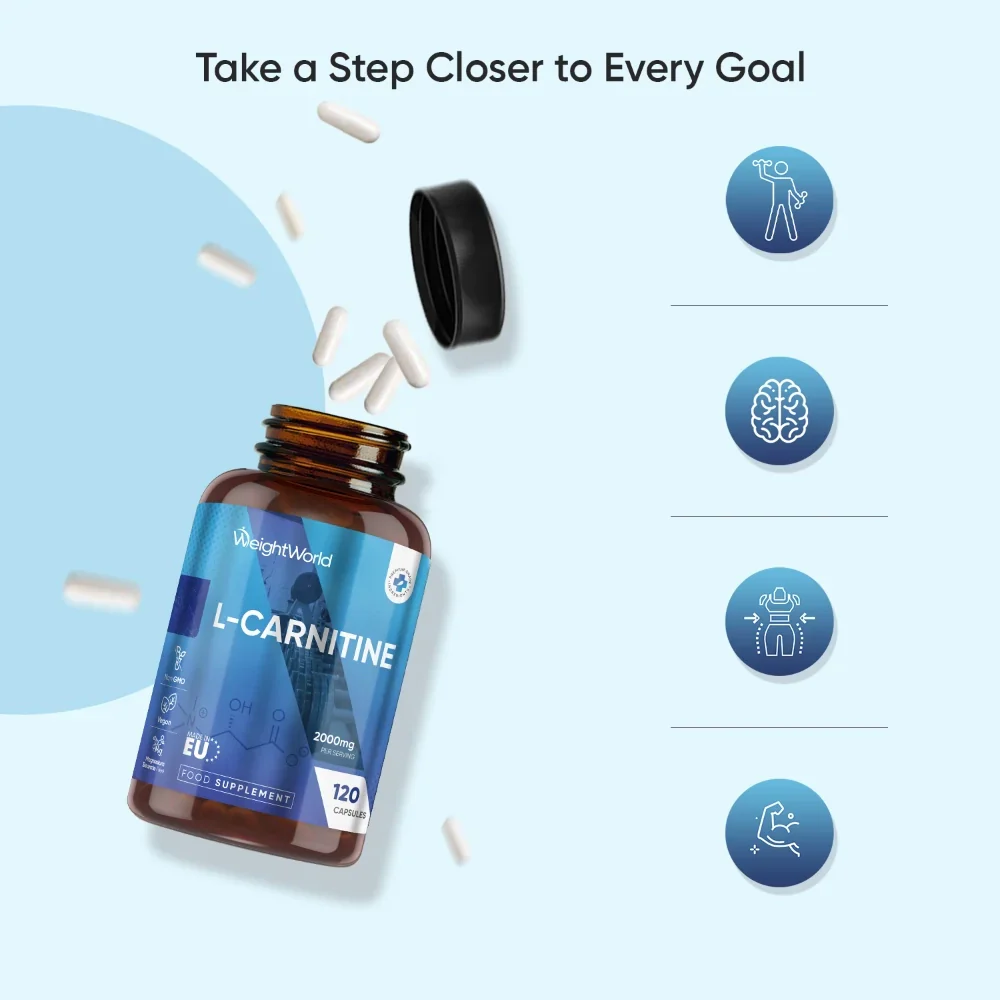 L-Carnitine Capsules - Image 3