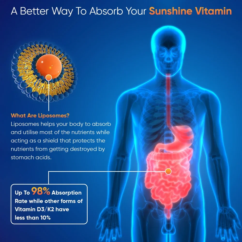 Liposomal Vitamin D3 + K2  Liquid - Image 3