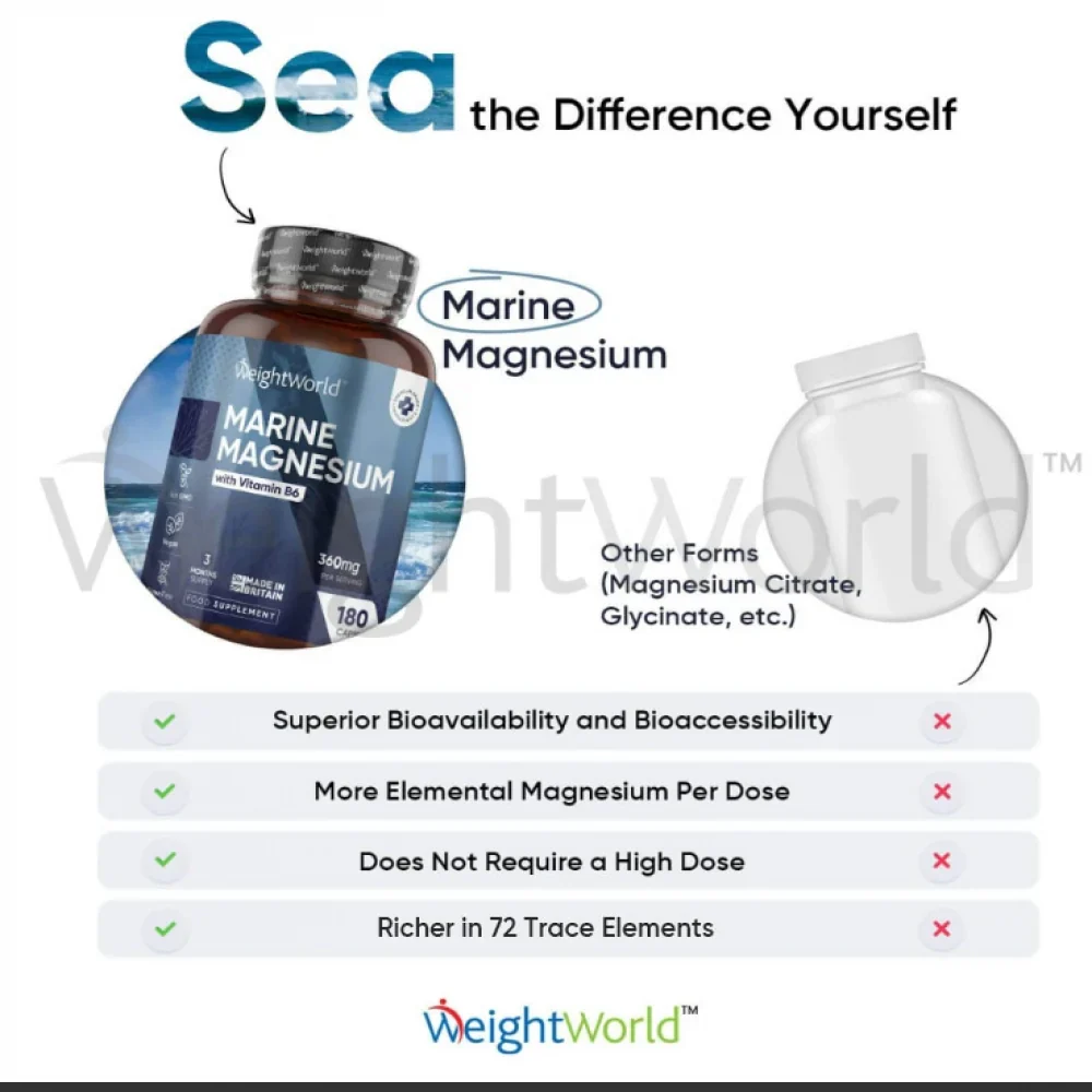 Marine Magnesium + Vitamin B6 Capsules - Image 5