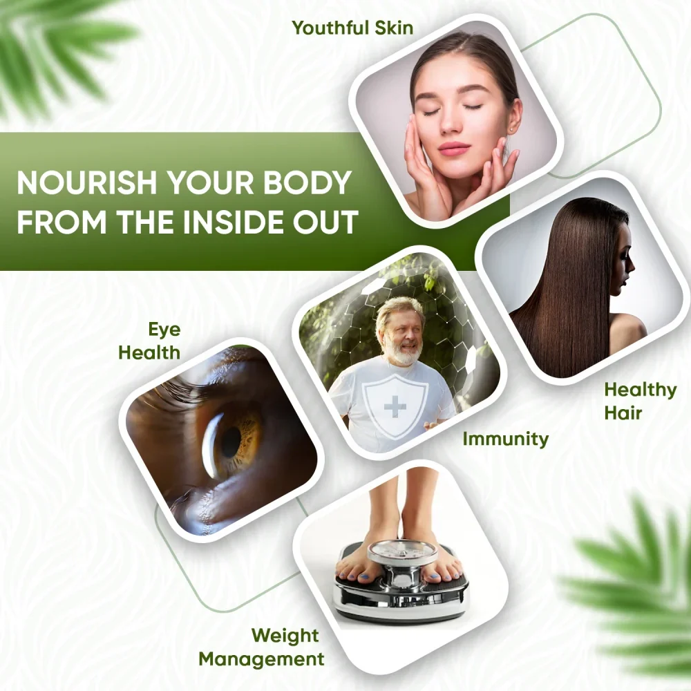 Organic Bio Amla Powder - Image 3