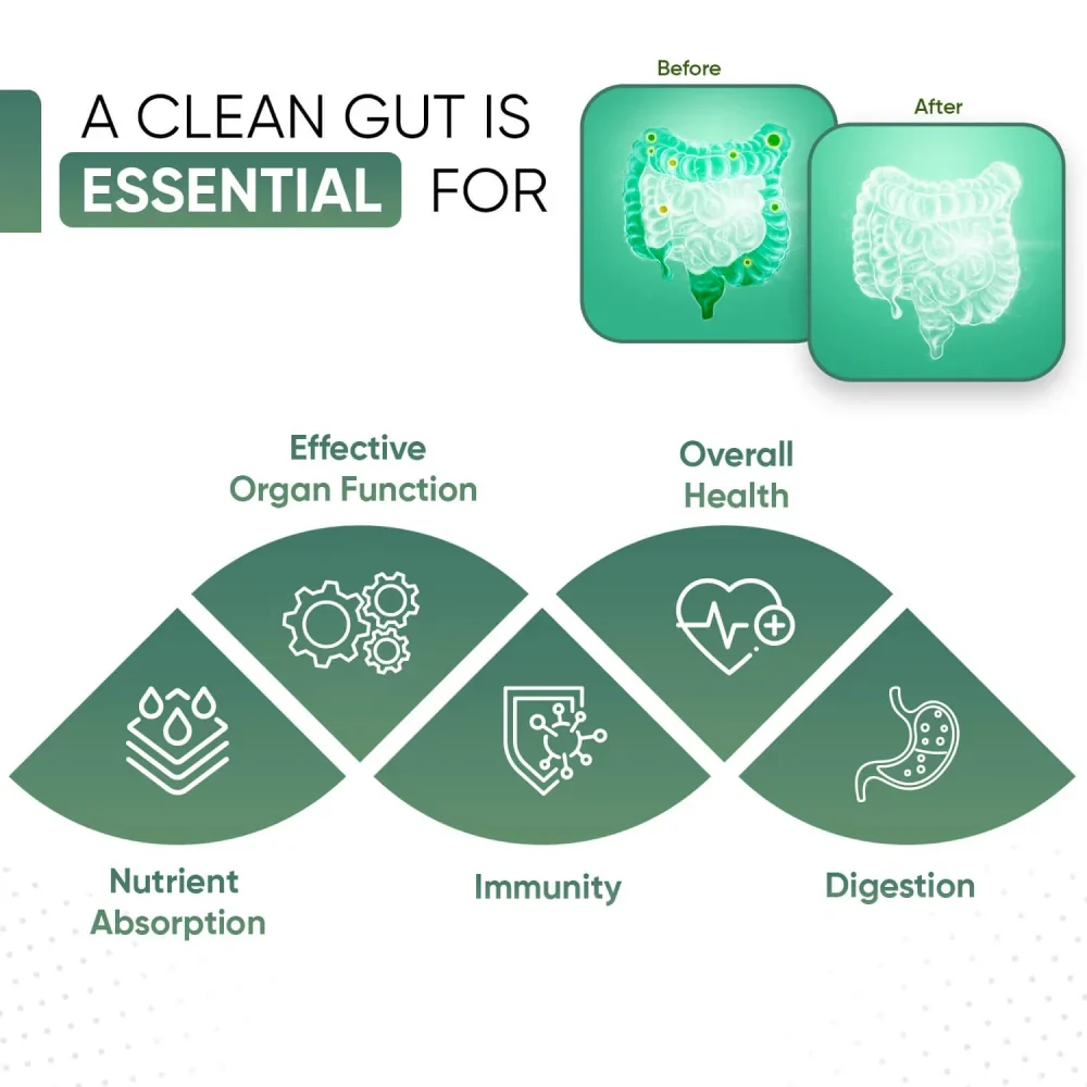 Organic Psyllium Husk Capsules - Image 4